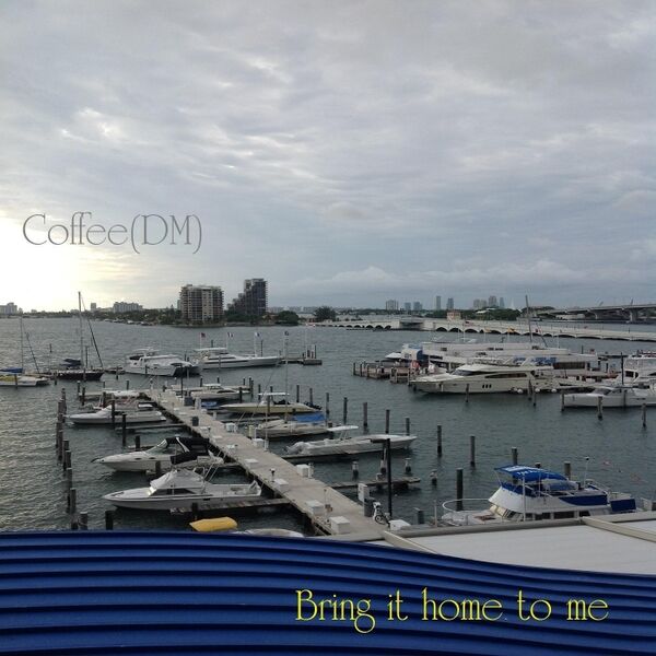 Cover art for Bring It Home to Me